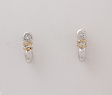 14K Two Tone Diamond Post Earrings